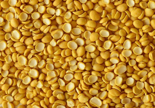 گیاه لپه گیاه لپه