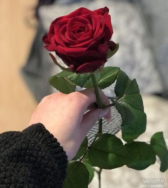 عکس دختر با دسته گل برای پروفایل