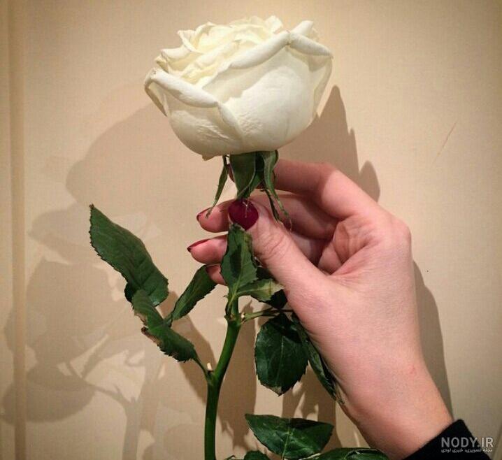 عکس دست دختر یهویی