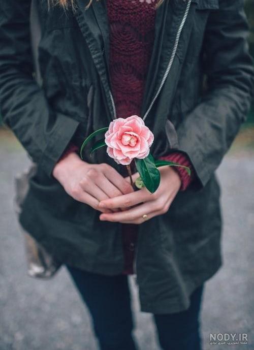 عکس شاخه گل رز دست دختر
