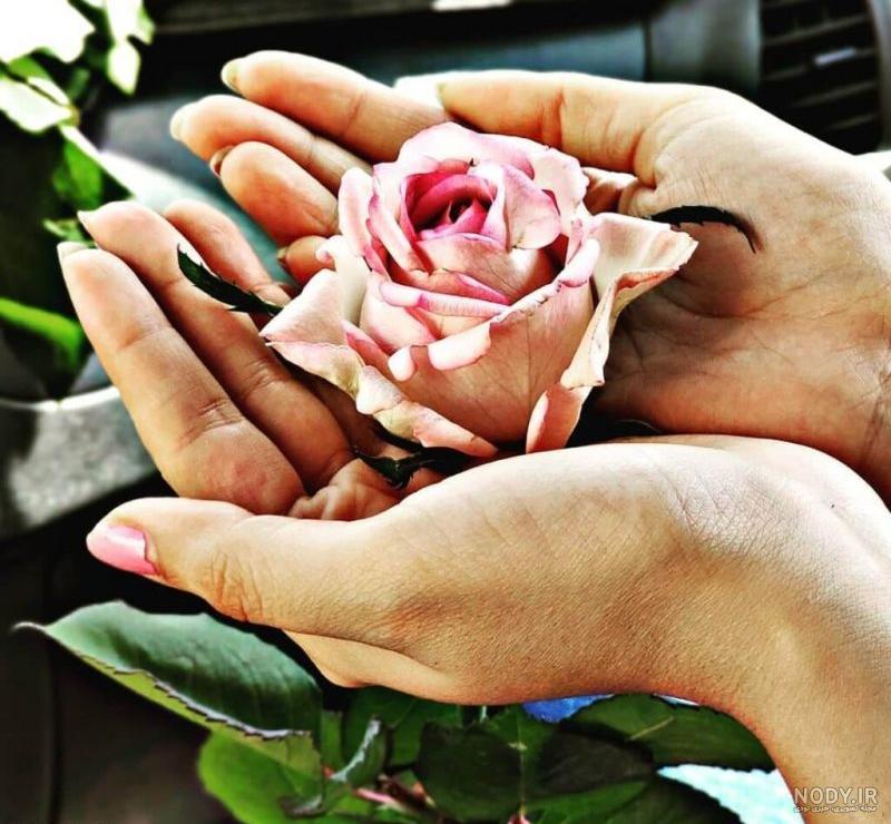 گل در دست دختر برای پروفایل