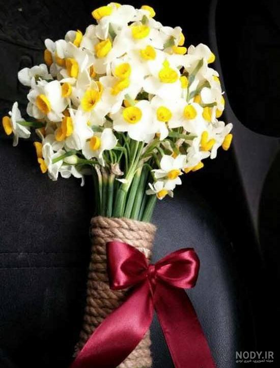 عکس گل صبح بخیر جدید