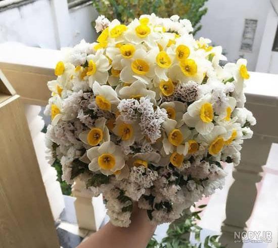 عکس گل صبح بخیر جدید