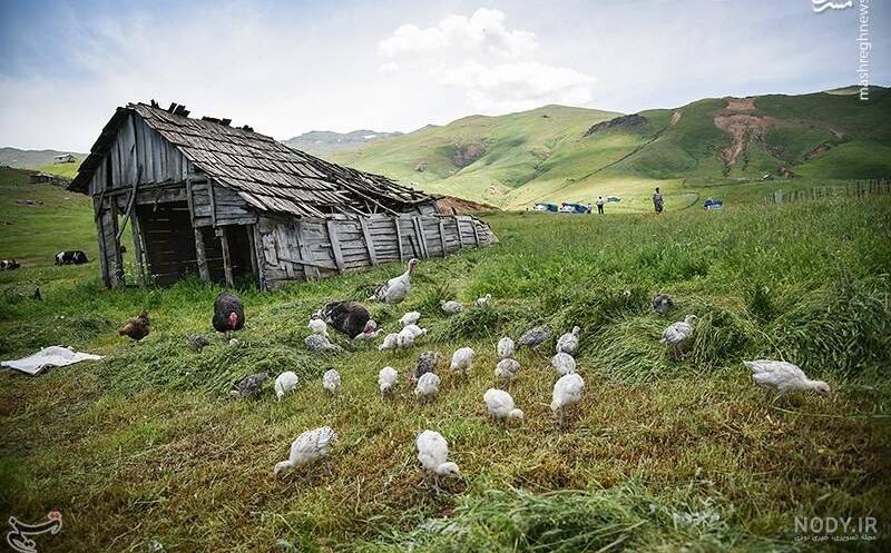 ادرس پل چوبی جوکندان ادرس پل چوبی جوکندان