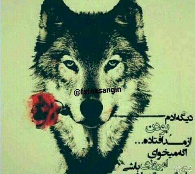اس ام اس درباره گرگ