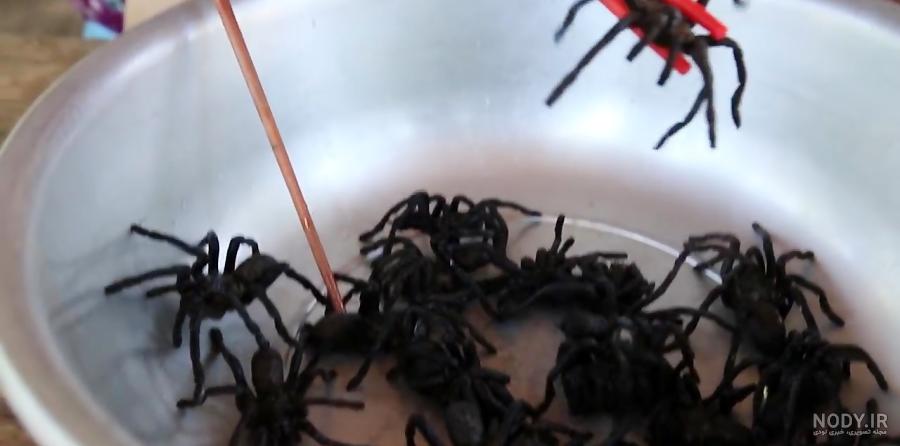 افتادن مورچه در غذا