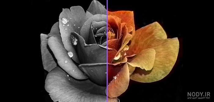 تبدیل عکس سیاه سفید به رنگی آنلاین