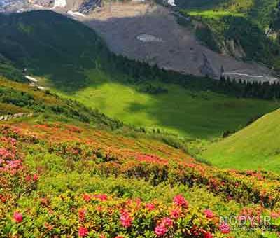 جاهای دیدنی فرانسه پاریس جاهای دیدنی فرانسه پاریس