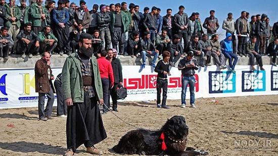 خصوصیات سگ شکاری