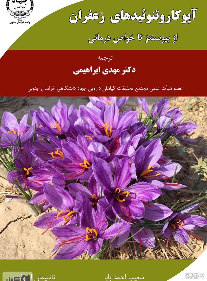 خواص زعفران برای رحم نی نی سایت خواص زعفران برای رحم نی نی سایت