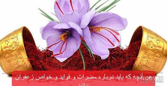 خواص زعفران برای عفونت زنان خواص زعفران برای عفونت زنان