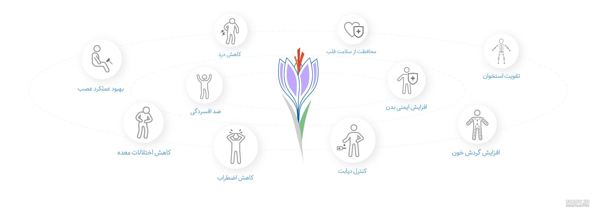 خواص زعفران برای مردان خواص زعفران برای مردان