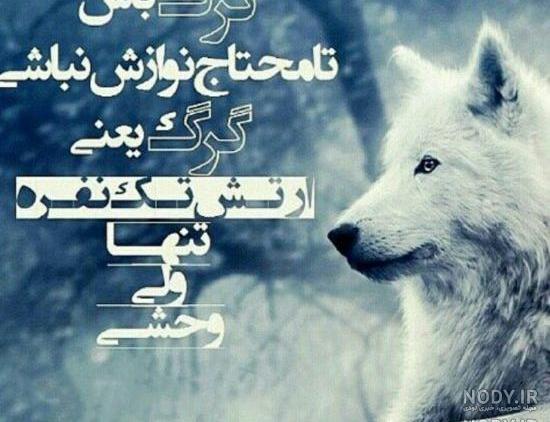 رهبر گرگ ها به انگلیسی