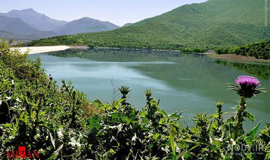 زیباترین عکسهای طبیعت
