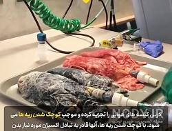 سیگار کشیدن روحانی