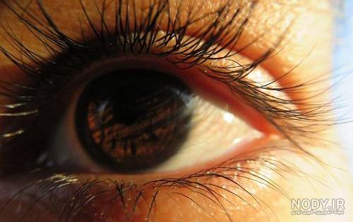 عکس دختر چشم عسلی عکس دختر چشم عسلی