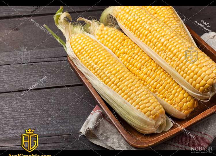 عکس ذرت برای نقاشی