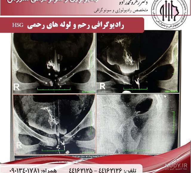 عکس رنگی دکتر طیبه ثامنیه