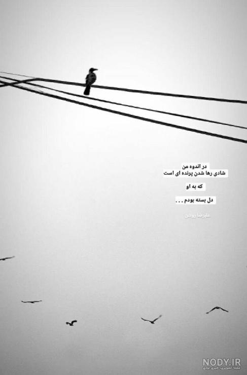 عکس زیبا در اینستاگرام