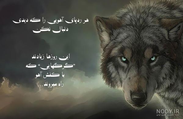 عکس نوشته انگلیسی گرگ