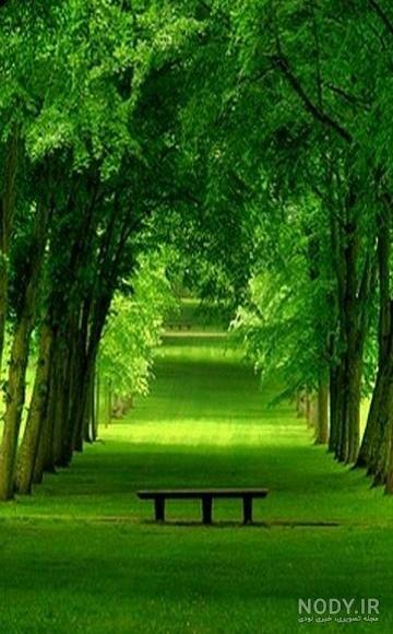 عکس پس زمینه گوشی نوکیا ساده
