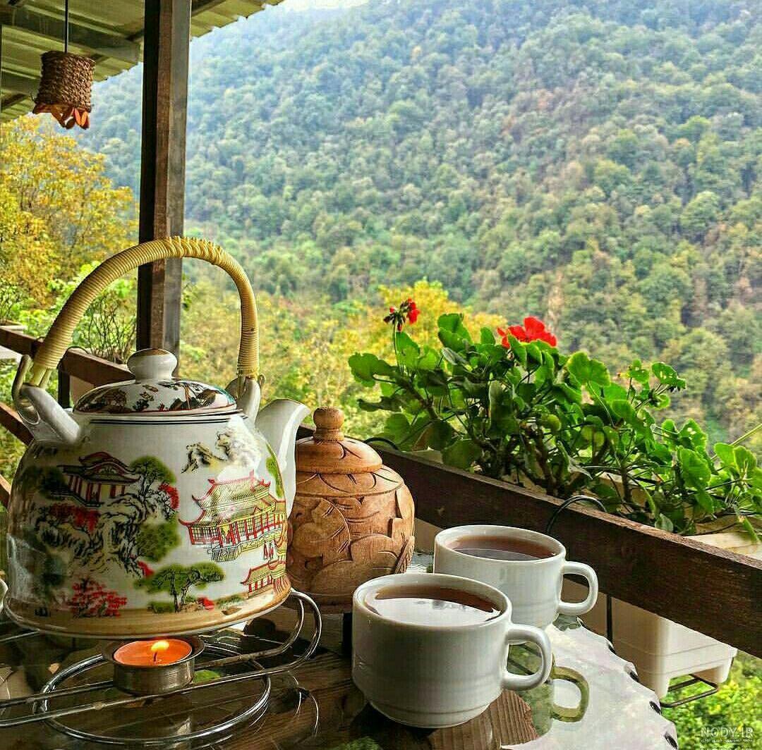 عکس چای در طبیعت بهاری