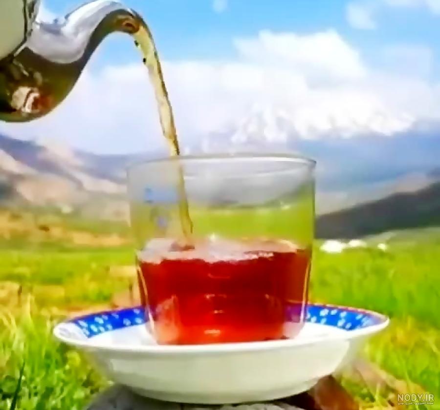 عکس چای در طبیعت بهاری