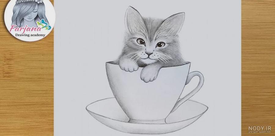 عکس گربه طراحی