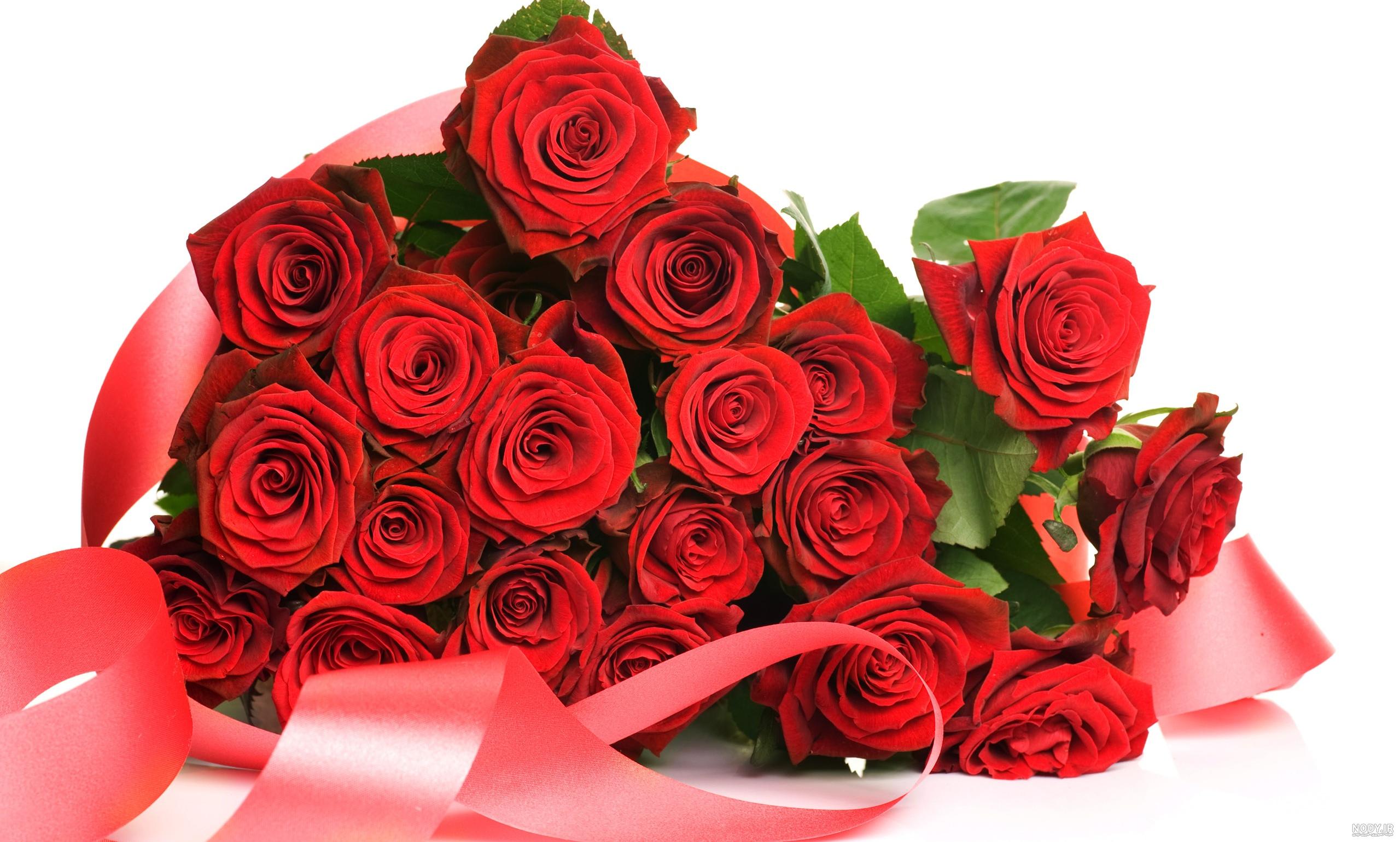 عکس گل رز قرمز عاشقانه