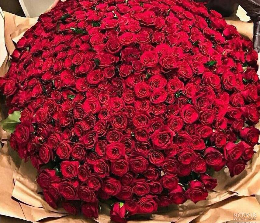 عکس گل زیبا عکس گل زیبا