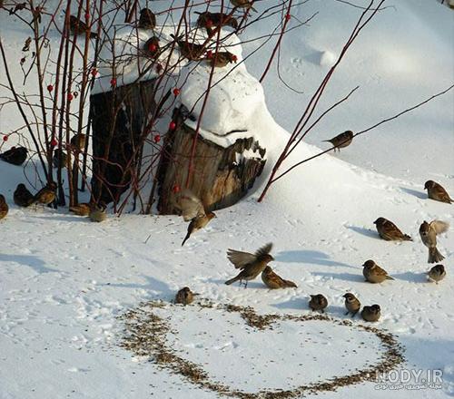 عکسهای زمستانی زیبا برای پروفایل عکسهای زمستانی زیبا برای پروفایل