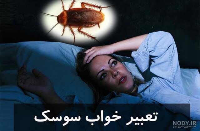 فیلم سوسک ترسناک