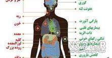 قلب فرد سیگاری