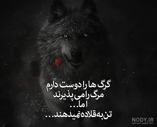 متن انگلیسی در مورد آهو