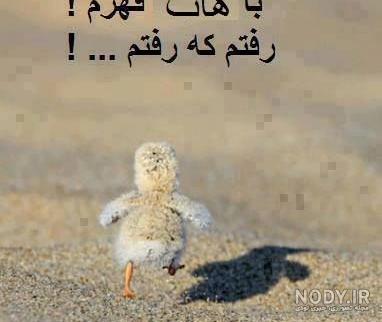 متن در مورد بی حوصله گی