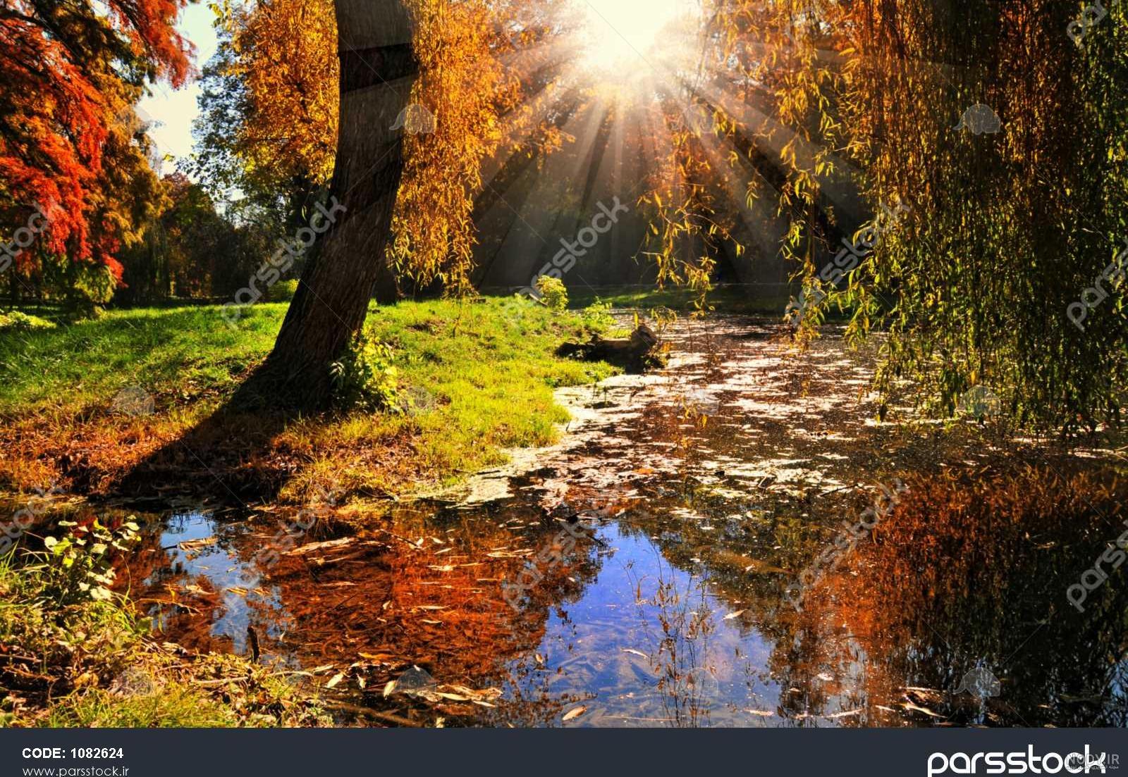 متن غروب تنهایی