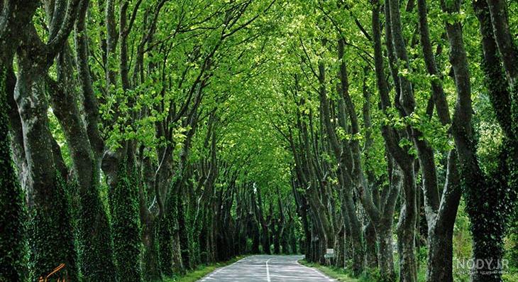 همه چیز درباره پاریس همه چیز درباره پاریس