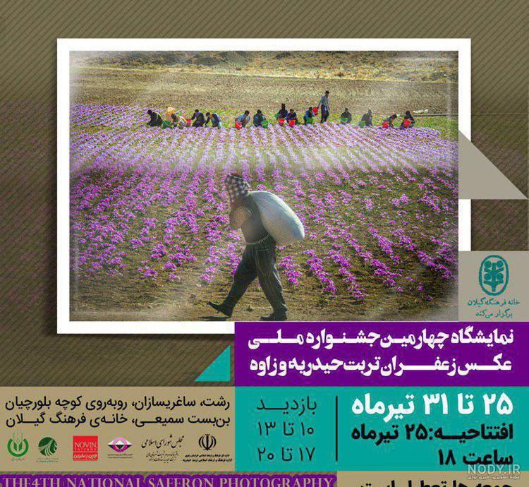 پرورش زعفران گلخانه ای در خانه
