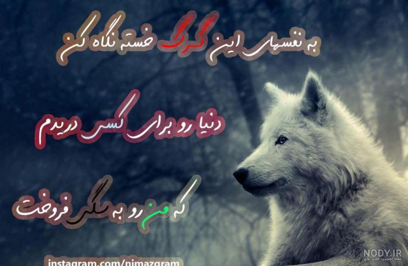 پروفایل گرگ بدون متن