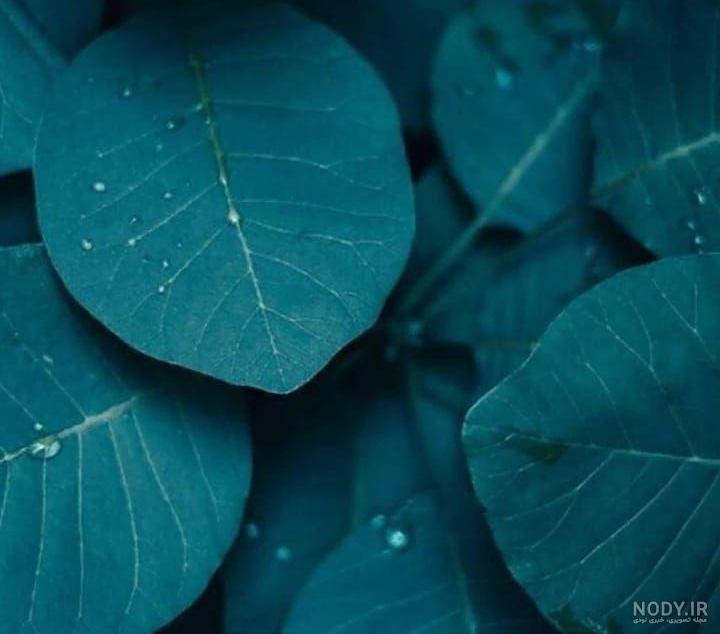 پس زمینه ساده رنگی
