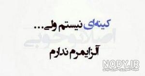 کلیپ تیکه دار عاشقانه کلیپ تیکه دار عاشقانه