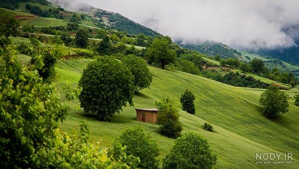 آب و هوای فومن در تابستان آب و هوای فومن در تابستان