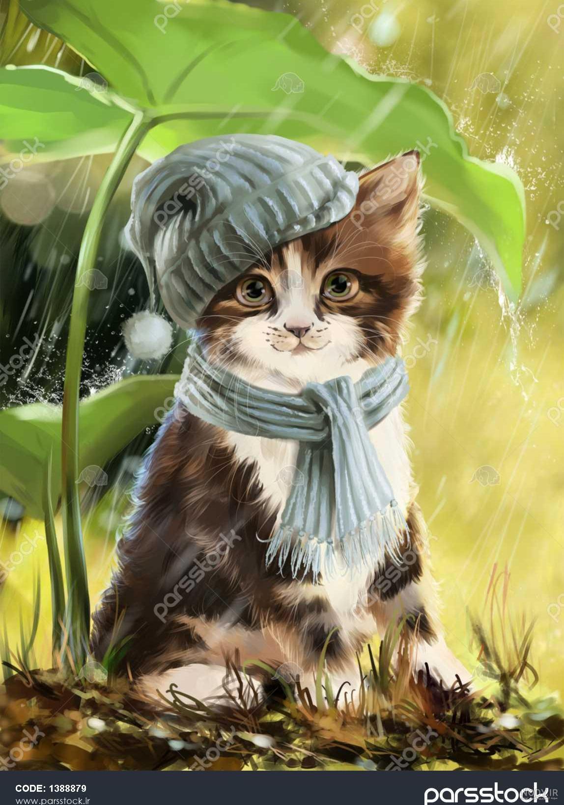 آموزش نقاشی گربه ملوس