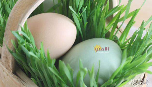انواع سبزه عید فانتزی انواع سبزه عید فانتزی