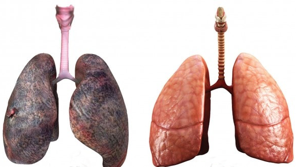 بعد از ترک سیگار چه بخوریم