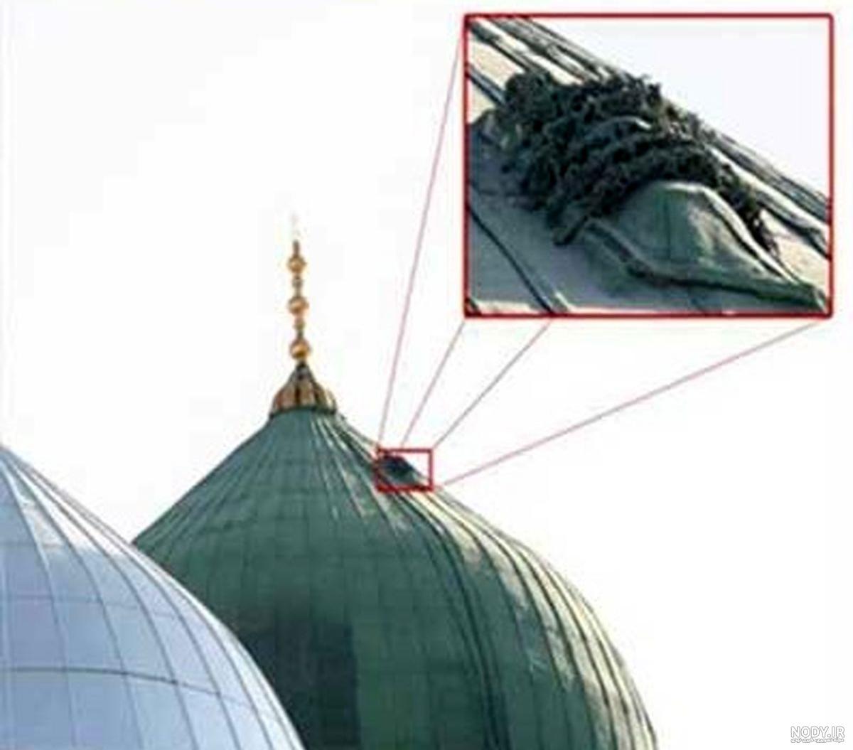 تاریخ پیامبران