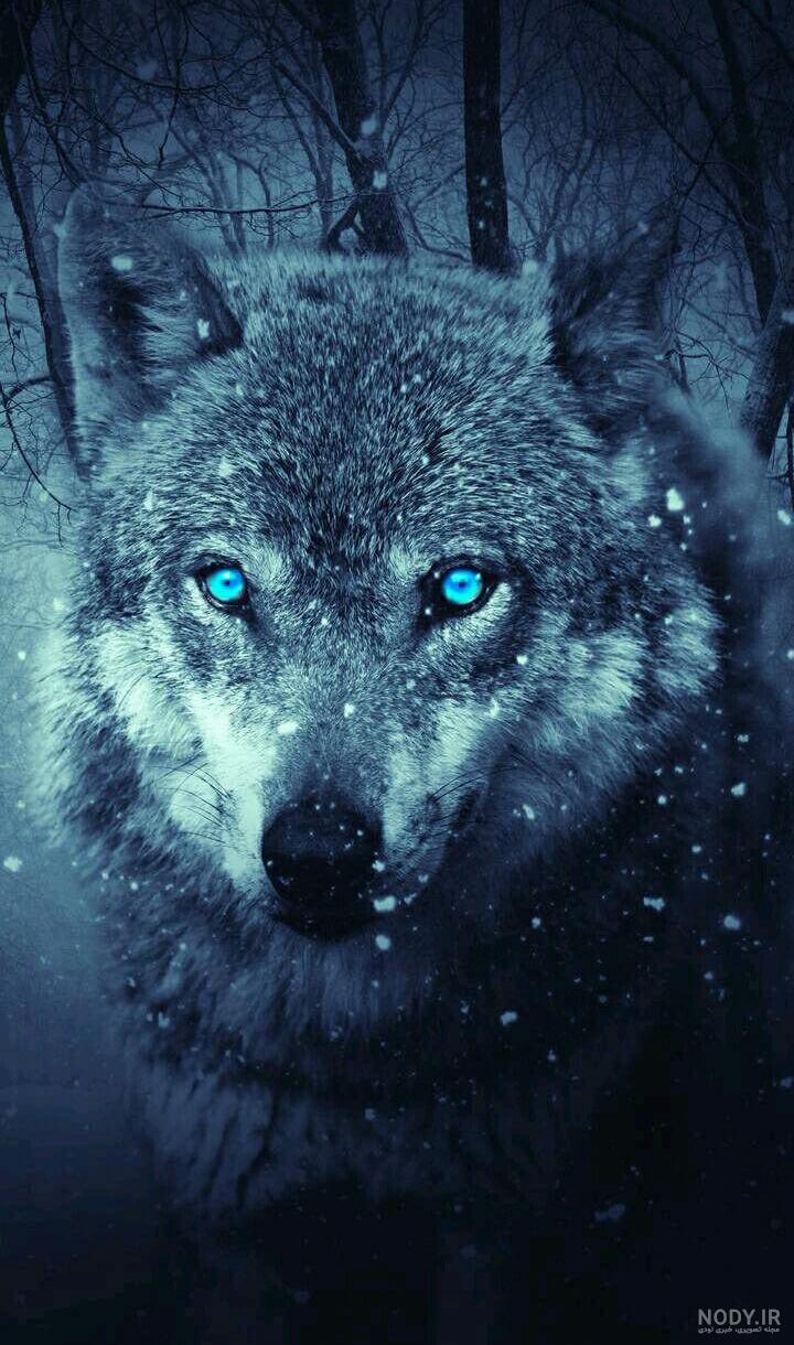 تصویر زمینه تصویر زمینه
