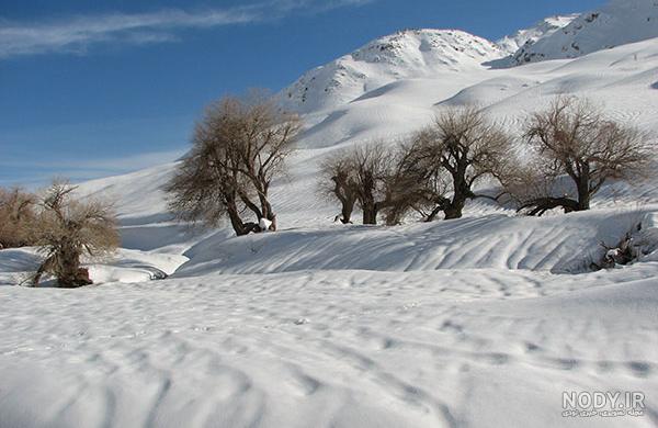 تصویر زمینه زمستانی عاشقانه
