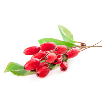 خواص دمنوش زرشک برای لاغری خواص دمنوش زرشک برای لاغری