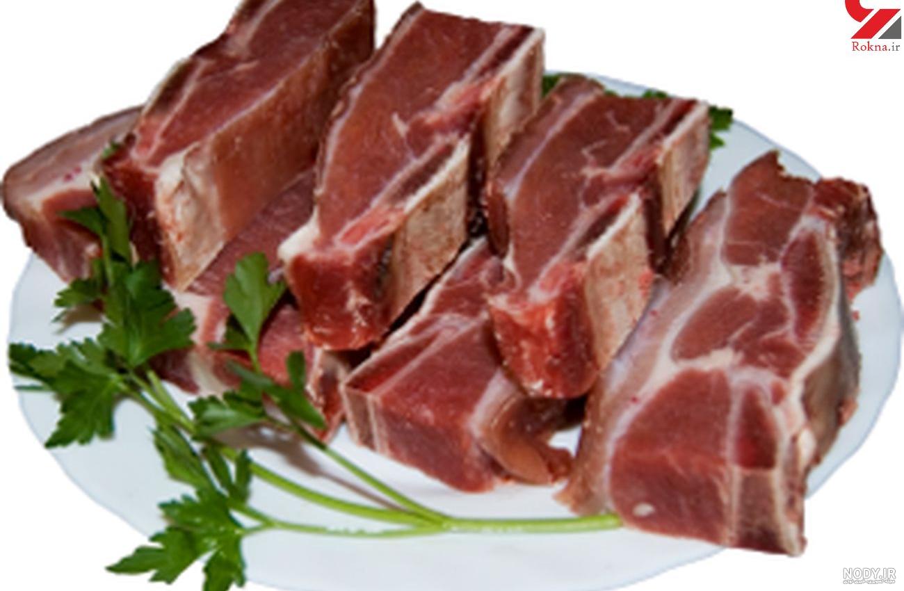 خواص گوشت شتر برای اسپرم خواص گوشت شتر برای اسپرم